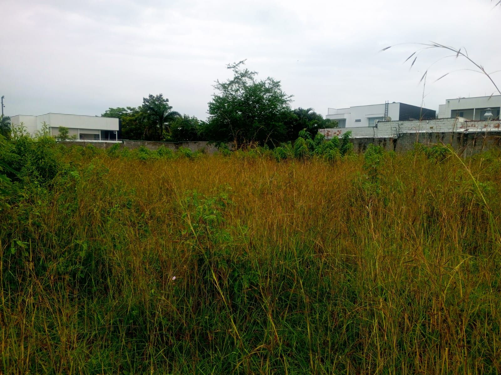 Lote en venta Valle Del Cauca Cali Gratamira 13000 m2 Habitaciones 0 Baños 0 Garajes 0 Precio $6500000000