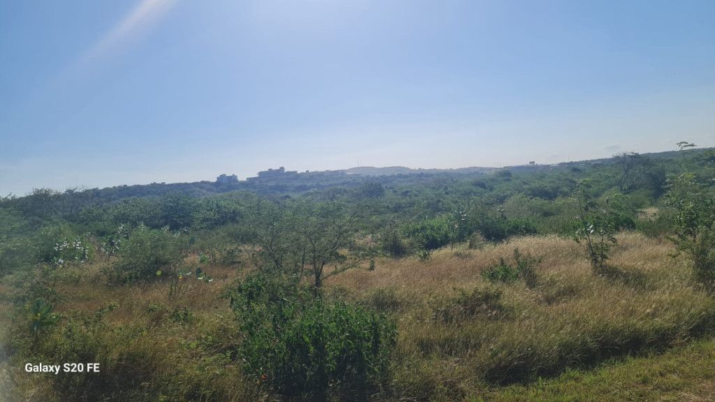 Lote en venta Atlántico Puerto Colombia Lagos Del Caujaral 0 m2 Habitaciones 0 Baños 0 Garajes 0 Precio $1188000000