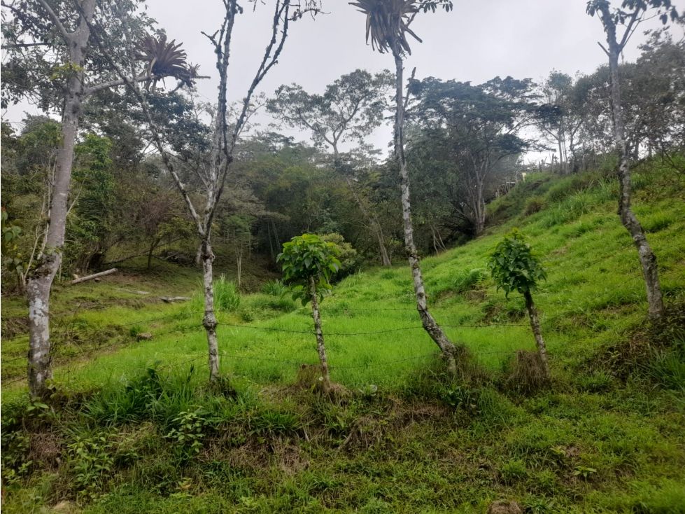 Lote en venta Cundinamarca Silvania Kennedy 2600 m2 Habitaciones 0 Baños 0 Garajes 0 Precio $80000000