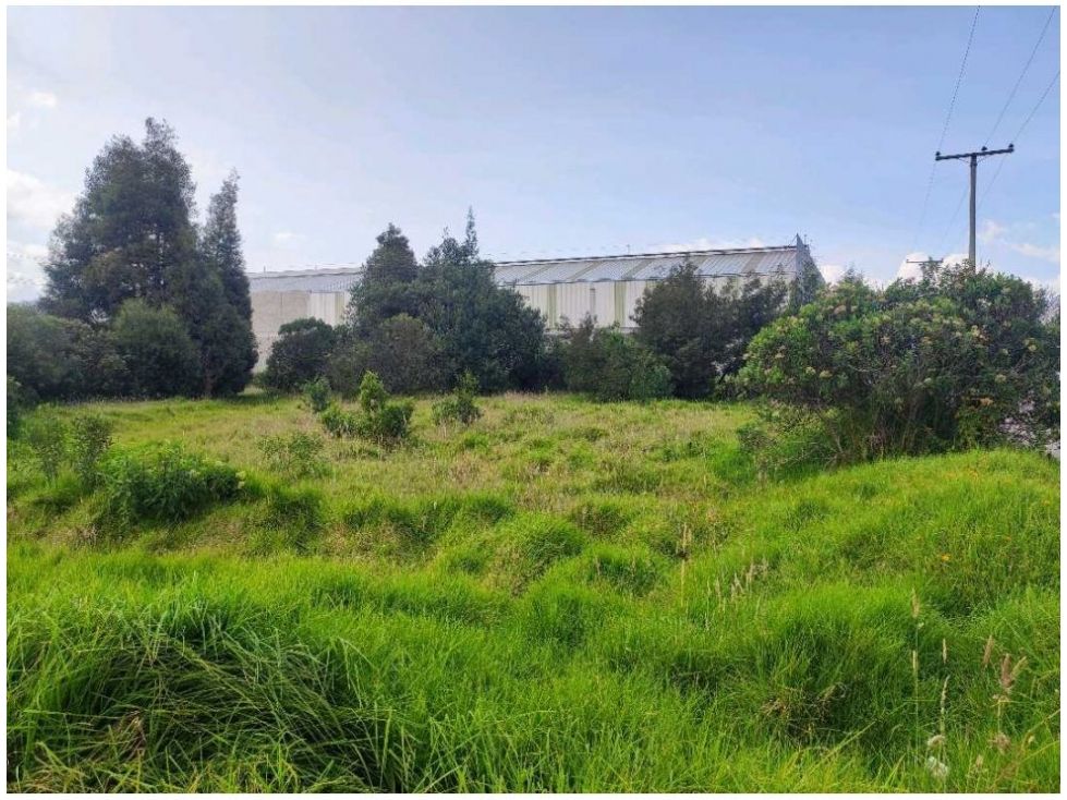 Lote en arriendo Cundinamarca Cota Cota 6790 m2 Habitaciones 0 Baños 0 Garajes 0 Precio $45000000