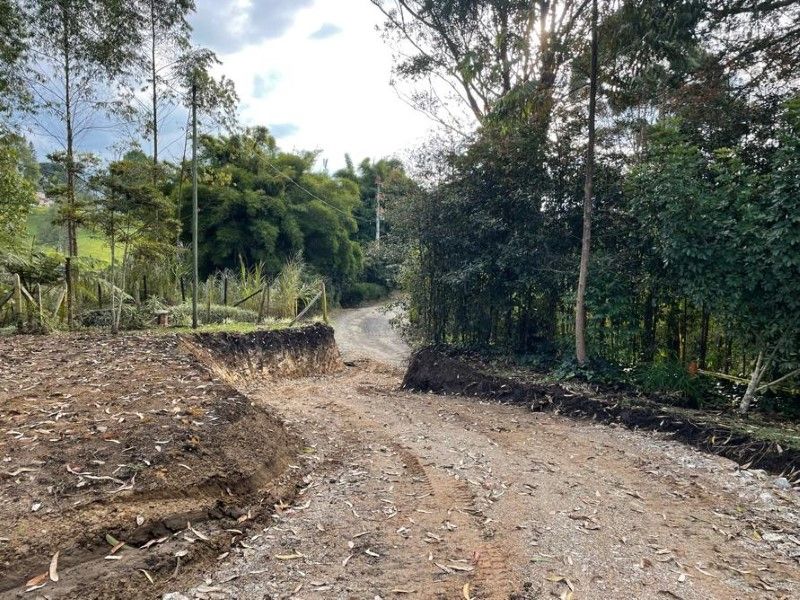 Lote en venta Antioquia Rionegro Rionegro 3099 m2 Habitaciones 0 Baños 0 Garajes 0 Precio $743000000