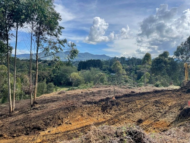 Lote en venta Antioquia Rionegro El Porvenir 3163 m2 Habitaciones 0 Baños 0 Garajes 0 Precio $759000000