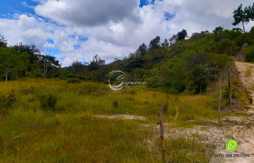 Lote en venta Antioquia Guarne Vereda Bellavista 10000 m2 Habitaciones 0 Baños 0 Garajes 0 Precio $160000000