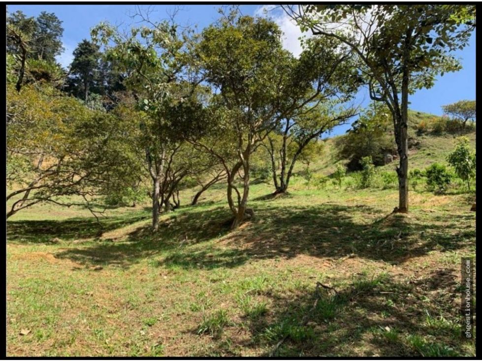 Lote en venta Antioquia Envigado Envigado 2565 m2 Habitaciones 0 Baños 0 Garajes 0 Precio $1600000000