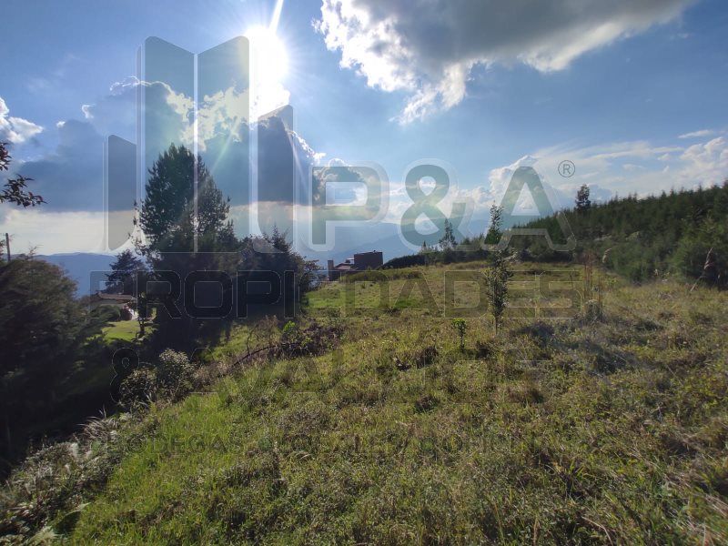 Lote en venta Antioquia Medellín Villanueva 16000 m2 Habitaciones 0 Baños 0 Garajes 0 Precio $4200000000