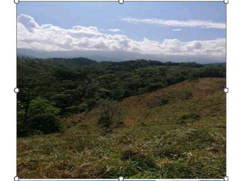 Lote en venta Antioquia Gómez Plata Gómez Plata 35660 m2 Habitaciones 0 Baños 0 Garajes 0 Precio $320000000