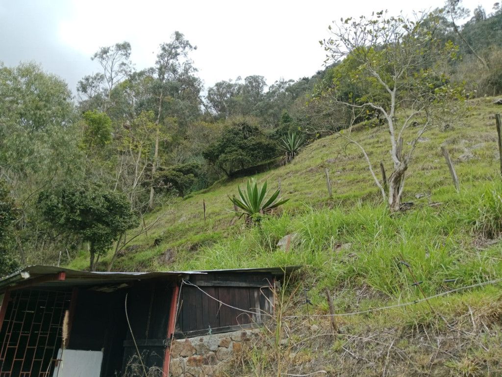 Lote en venta Cundinamarca Choachí Choachi 19200 m2 Habitaciones 0 Baños 0 Garajes 0 Precio $650000000