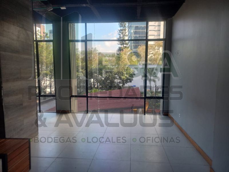 Local en arriendo Antioquia Medellín Los Balsos No2 35 m2 Habitaciones 0 Baños 0 Garajes 0 Precio $6203309