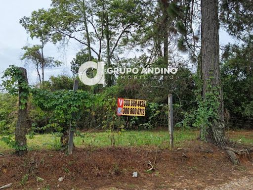 Lote en venta Santander Los Santos Los Santos 2374 m2 Habitaciones 0 Baños 0 Garajes 0 Precio $450000000