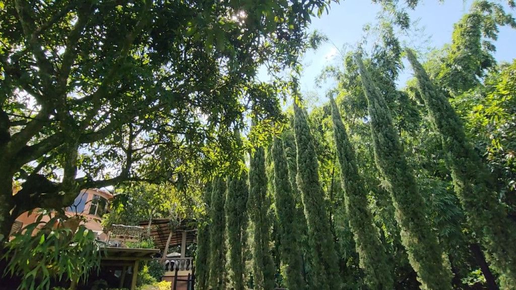 Casa en venta Antioquia Envigado Las Antillas 728 m2 Habitaciones 5 Baños 4 Garajes 6 Precio $2600000000