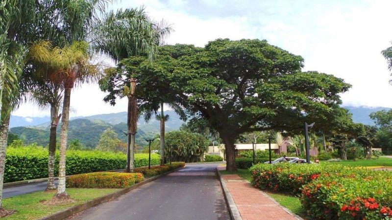 Lote en venta Meta Villavicencio Villavicencio 10 m2 Habitaciones 0 Baños 0 Garajes 0 Precio $550000000