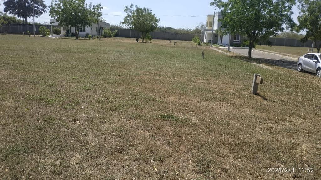 Lote en venta Atlántico Barranquilla Pastoral Social 250 m2 Habitaciones 0 Baños 0 Garajes 0 Precio $110000000