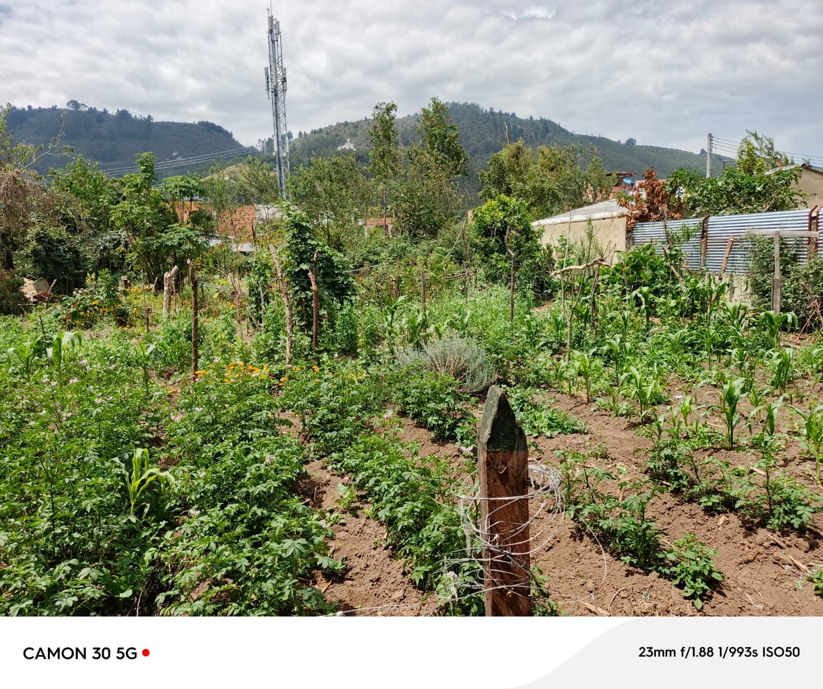 Lote en venta Cundinamarca Chía Altos De Hycata 700 m2 Habitaciones 0 Baños 0 Garajes 0 Precio $800000000