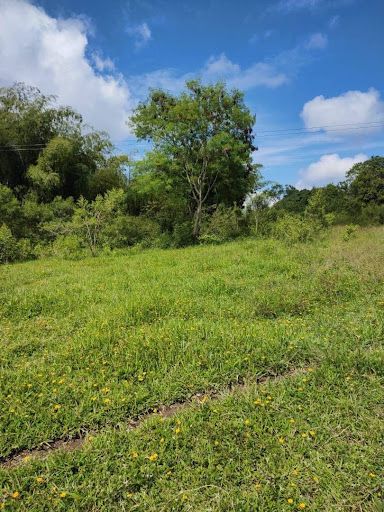 Lote en venta Risaralda Pereira Pereira 12000 m2 Habitaciones 0 Baños 0 Garajes 0 Precio $2160000000