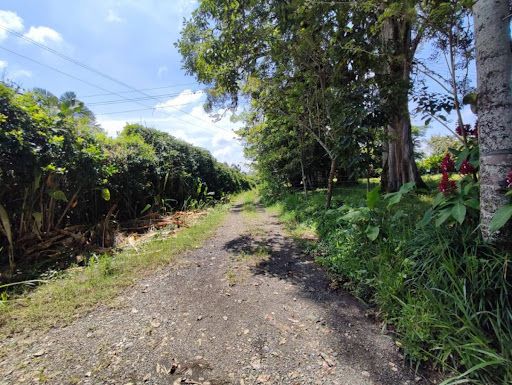 Lote en venta Risaralda Pereira Pereira 21000 m2 Habitaciones 0 Baños 0 Garajes 0 Precio $2100000000