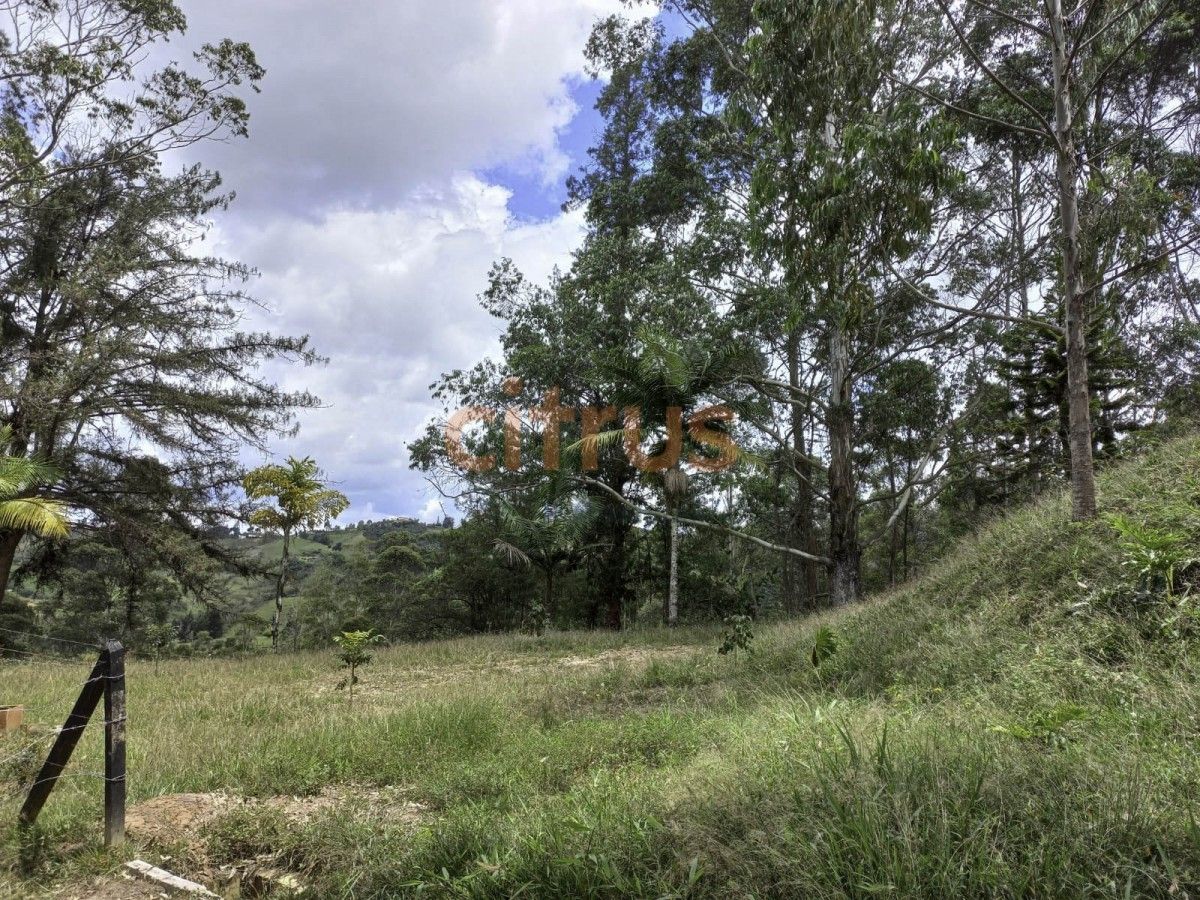 Lote en venta Antioquia Marinilla La Industrial 6401 m2 Habitaciones 0 Baños 0 Garajes 0 Precio $350000000