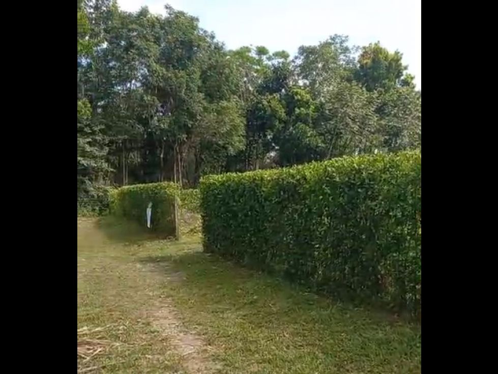 Lote en venta Meta Villavicencio Villavicencio 3200 m2 Habitaciones 0 Baños 0 Garajes 0 Precio $350000000