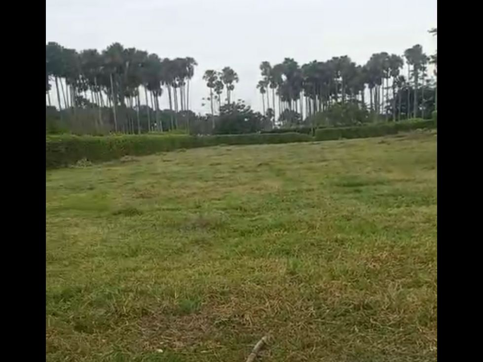 Lote en venta Meta Villavicencio Villavicencio 2500 m2 Habitaciones 0 Baños 0 Garajes 0 Precio $300000000