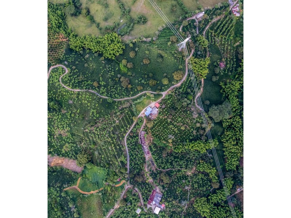 Finca en venta Caldas Manizales Manizales 130000 m2 Habitaciones 5 Baños 3 Garajes 0 Precio $1200000000