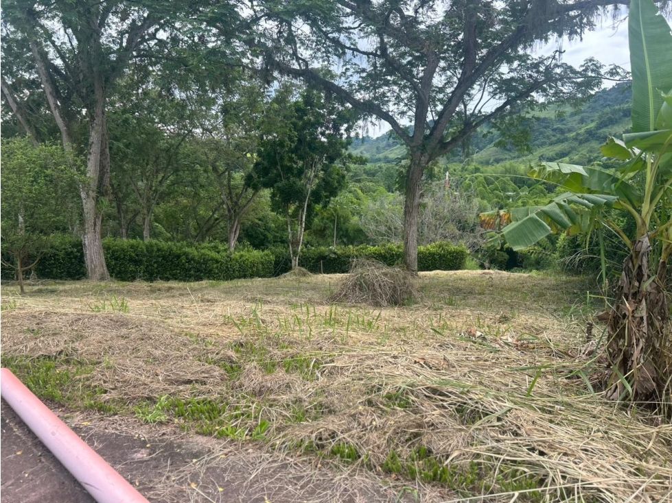 Lote en venta Caldas Palestina Palestina 1500 m2 Habitaciones 0 Baños 0 Garajes 0 Precio $150000000