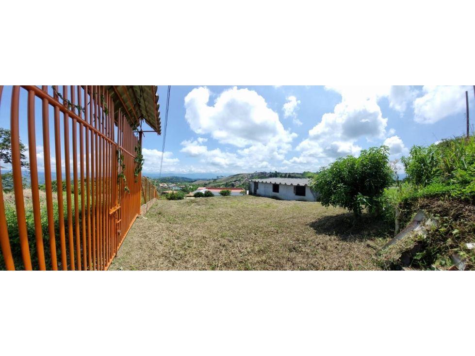 Lote en venta Caldas Palestina Palestina 1160 m2 Habitaciones 0 Baños 0 Garajes 0 Precio $390000000