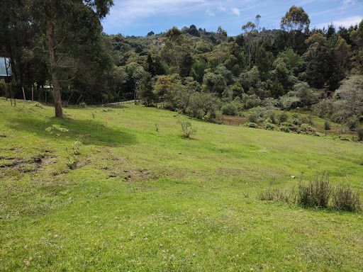 Lote en venta Cundinamarca Siberia Siberia 11623 m2 Habitaciones 0 Baños 0 Garajes 0 Precio $1046000000