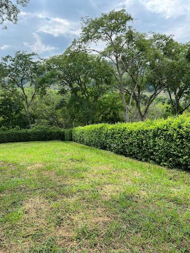 Lote en venta Caldas Manizales Manizales 1350 m2 Habitaciones 0 Baños 1 Garajes 0 Precio $216000000