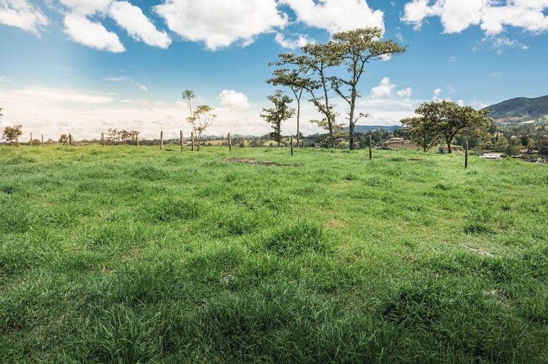 Lote en venta Antioquia Rionegro Rionegro 1560 m2 Habitaciones 0 Baños 0 Garajes 0 Precio $800000000