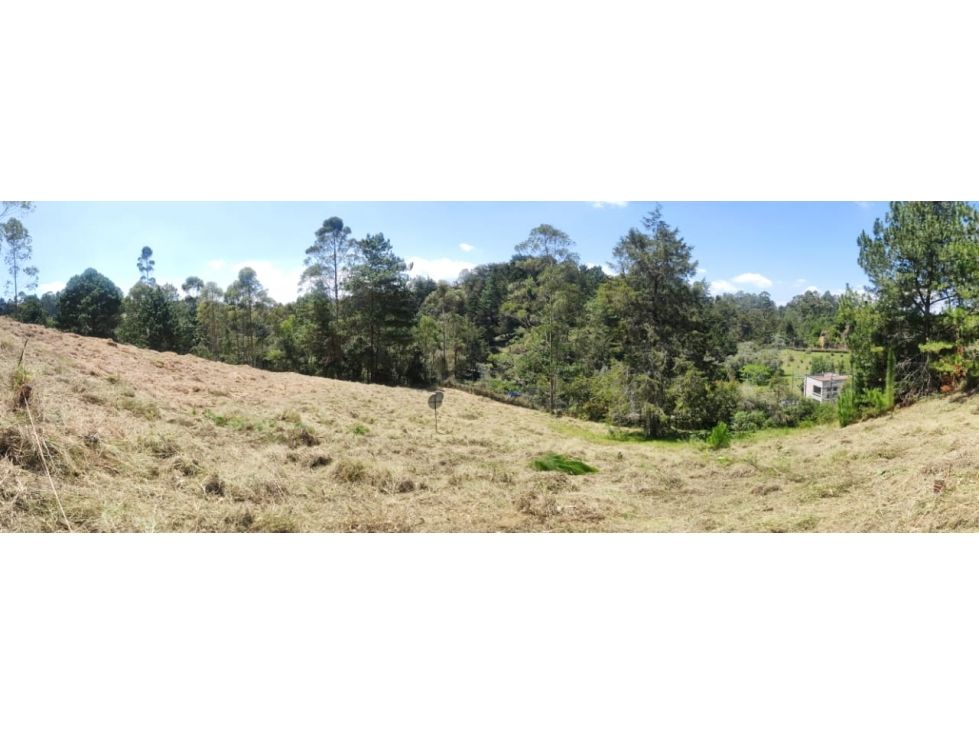 Lote en venta Antioquia El Retiro El Retiro 1832 m2 Habitaciones 0 Baños 1 Garajes 0 Precio $515150500
