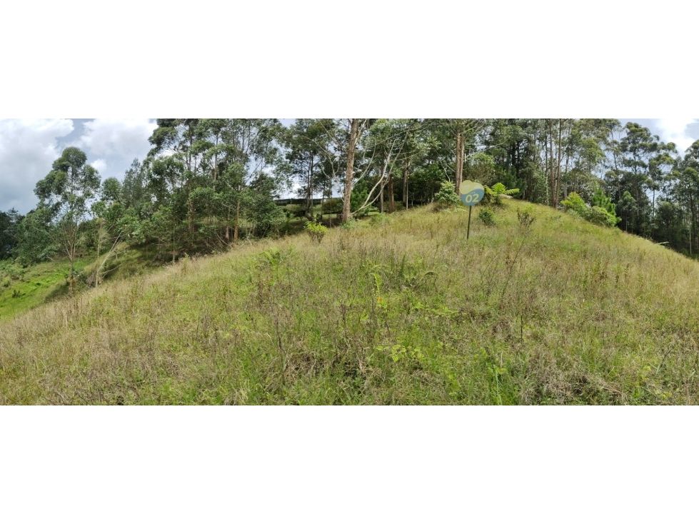 Lote en venta Antioquia El Retiro El Retiro 1603 m2 Habitaciones 0 Baños 1 Garajes 0 Precio $520000000