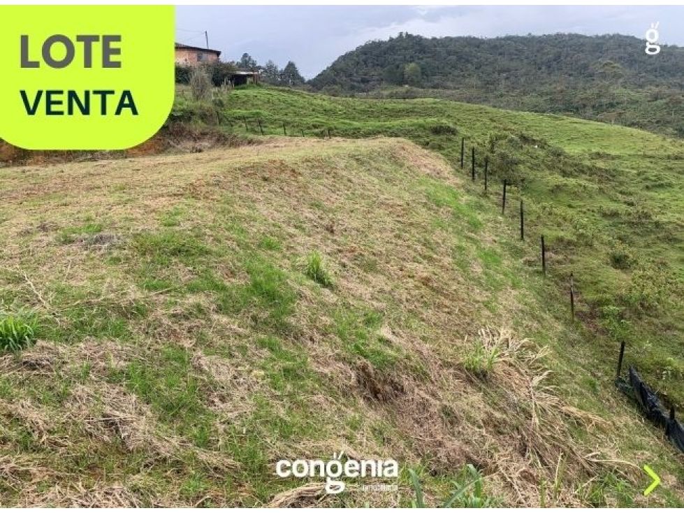 Lote en venta Antioquia El Santuario Jose Maria Cordova 1500 m2 Habitaciones 0 Baños 0 Garajes 0 Precio $120000000