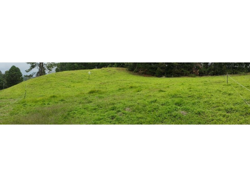 Lote en venta Antioquia El Retiro El Retiro 1460 m2 Habitaciones 0 Baños 1 Garajes 1 Precio $520000000