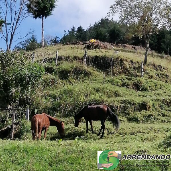 Lote en venta Antioquia Liborina Liborina 6080 m2 Habitaciones 0 Baños 0 Garajes 0 Precio $160000000