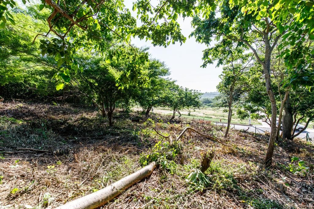 Lote en venta Atlántico Puerto Colombia Lagos Del Caujaral 0 m2 Habitaciones 0 Baños 0 Garajes 0 Precio $1157100000