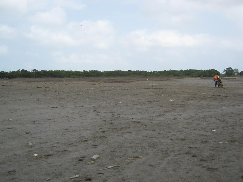 Lote en venta Atlántico Barranquilla Las Flores 0 m2 Habitaciones 0 Baños 0 Garajes 0 Precio $9000000000