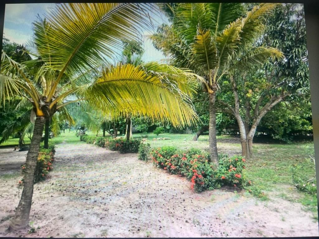 Finca en venta Atlántico Sabanagrande Sabanagrande 150 m2 Habitaciones 0 Baños 0 Garajes 0 Precio $530000000