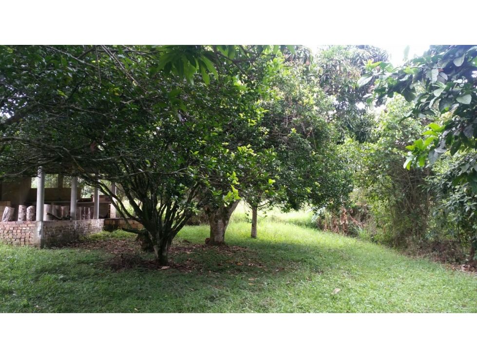 Lote en venta Cundinamarca La Mesa Toledo 1192 m2 Habitaciones 0 Baños 0 Garajes 0 Precio $1000000000