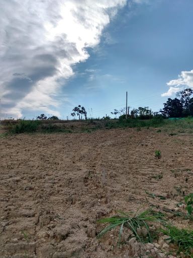 Lote en venta Risaralda Dosquebradas Dosquebradas 54 m2 Habitaciones 0 Baños 0 Garajes 0 Precio $70000000