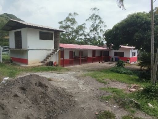 Finca en venta Risaralda Pereira Pereira 198400 m2 Habitaciones 0 Baños 1 Garajes 0 Precio $1750000000