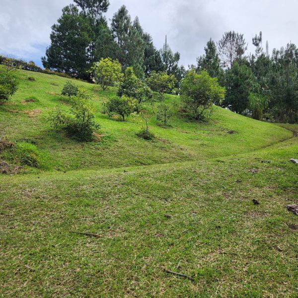 Lote en venta Antioquia El Retiro El Retiro 5400 m2 Habitaciones 0 Baños 0 Garajes 0 Precio $1200000000