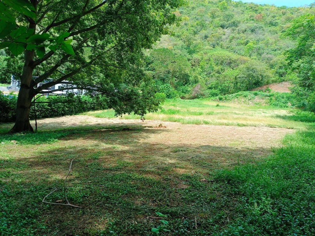 Lote en venta Antioquia Santafé De Antioquia Santafé De Antioquia 4 m2 Habitaciones 0 Baños 0 Garajes 0 Precio $500000000