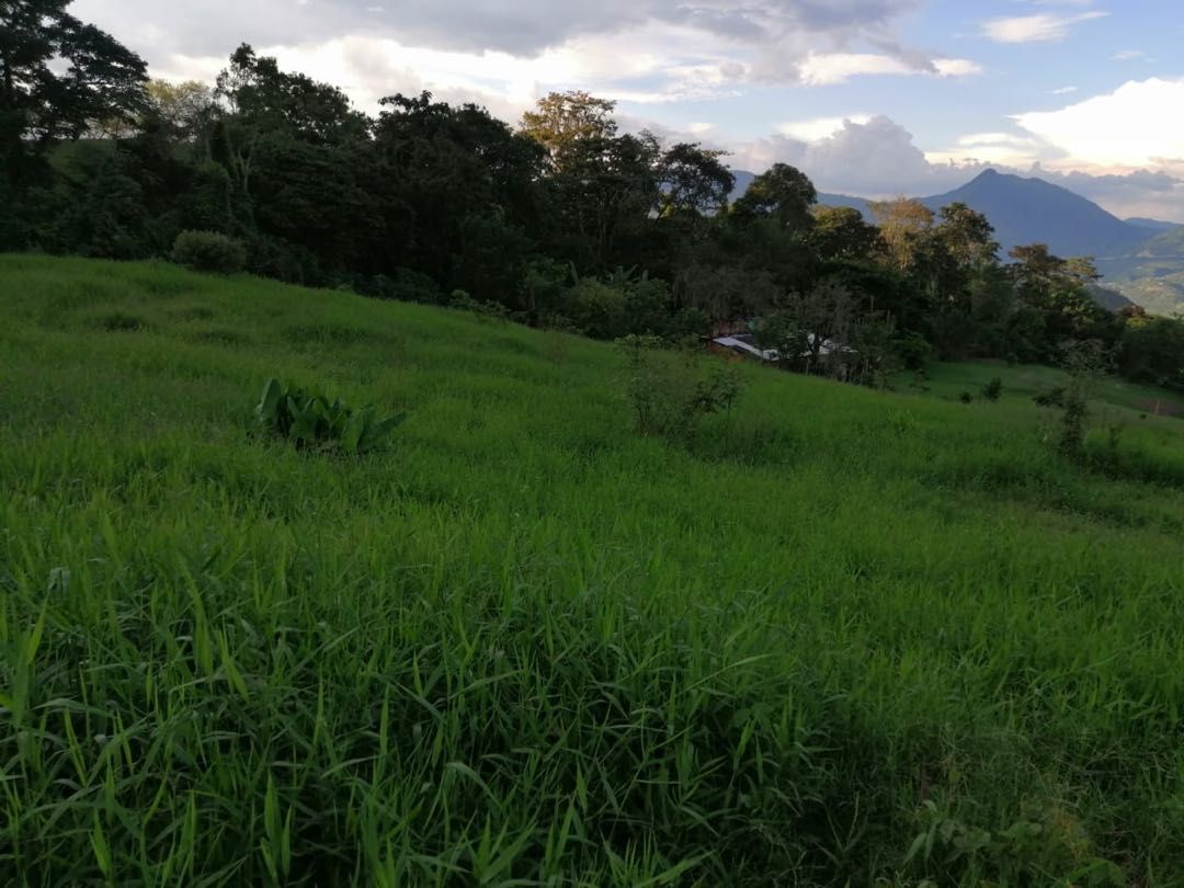 Lote en venta Antioquia Venecia Venecia 0 m2 Habitaciones 0 Baños 0 Garajes 0 Precio $500000000