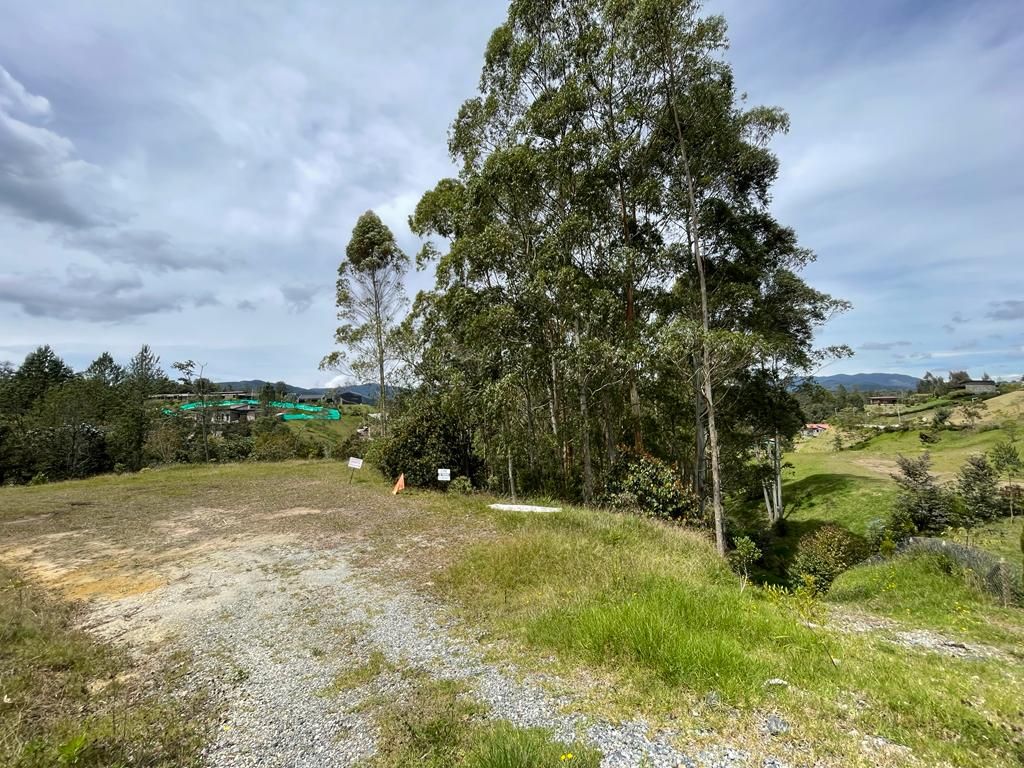 Lote en venta Antioquia El Retiro El Retiro 0 m2 Habitaciones 0 Baños 0 Garajes 0 Precio $990000000