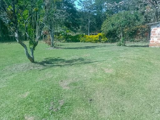 Lote en venta Nariño El Peñol El Peñol 5000 m2 Habitaciones 0 Baños 0 Garajes 0 Precio $420000000