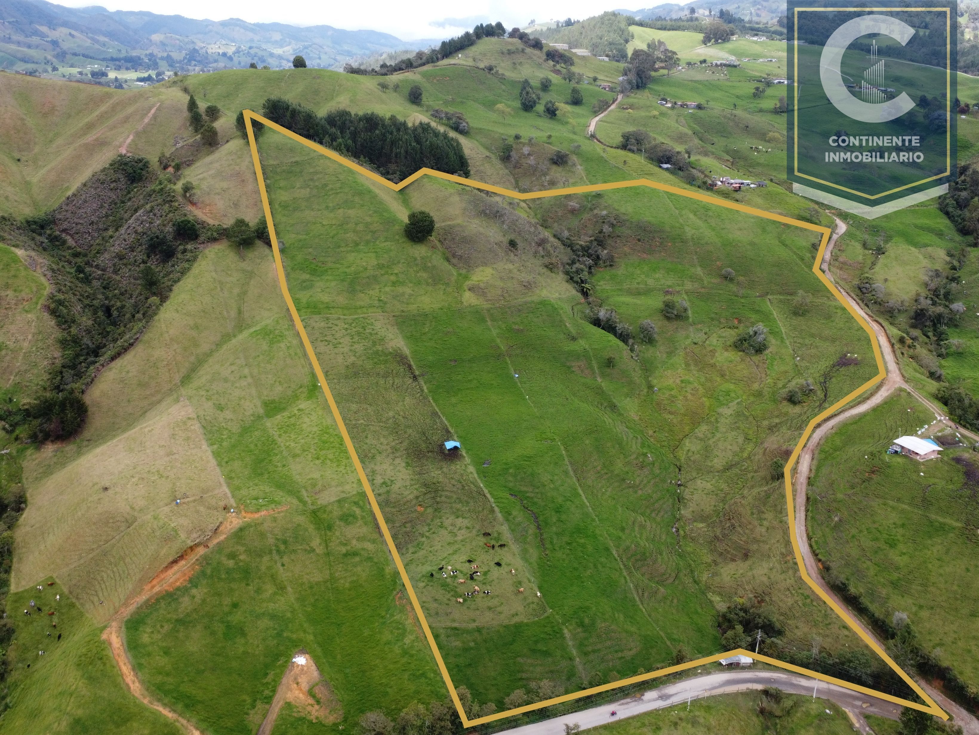 Lote en venta Antioquia San Pedro Paraje La María 76800 m2 Habitaciones 0 Baños 0 Garajes 0 Precio $1200000000