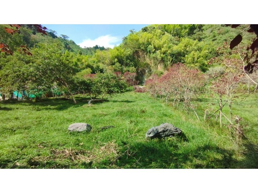 Lote en venta Caldas Villamaría Villamaría 2400 m2 Habitaciones 0 Baños 0 Garajes 0 Precio $120000000