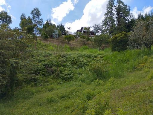 Lote en venta Antioquia Guarne Guarne 3833 m2 Habitaciones 0 Baños 0 Garajes 0 Precio $500000000