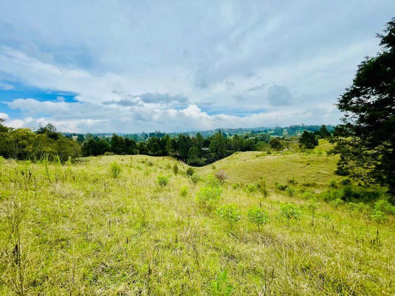 Lote en venta Antioquia Guarne Guarne 17100 m2 Habitaciones 0 Baños 0 Garajes 0 Precio $1402200000