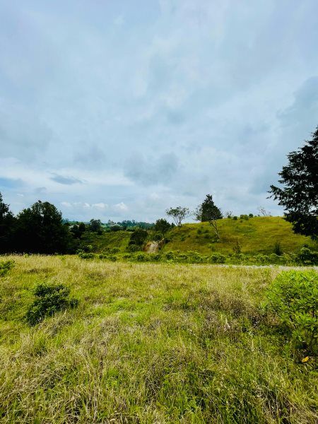 Lote en venta Antioquia Guarne La Brizuela 5799 m2 Habitaciones 0 Baños 0 Garajes 0 Precio $475518000