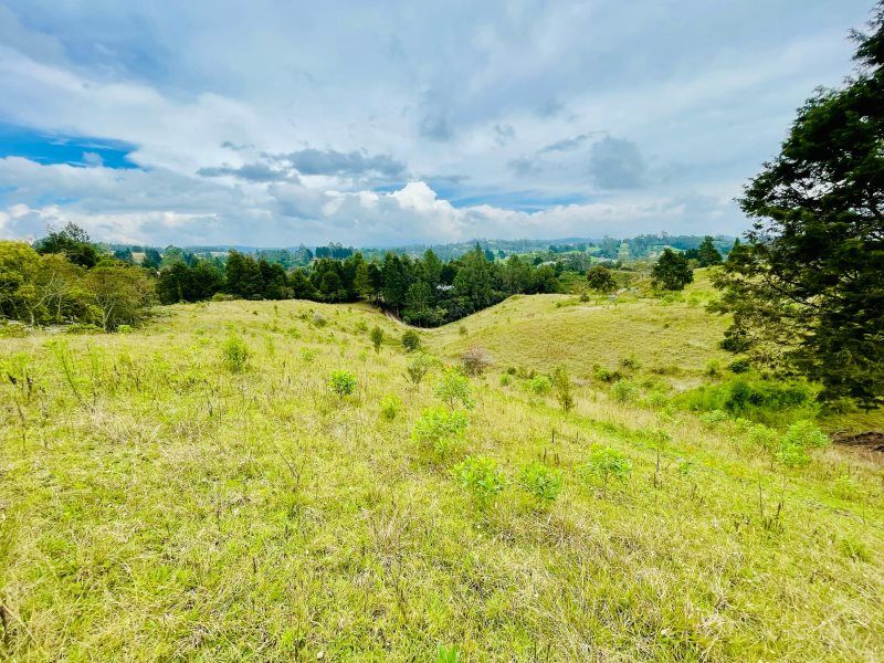 Lote en venta Antioquia Guarne Guarne 5730 m2 Habitaciones 0 Baños 0 Garajes 0 Precio $469860000